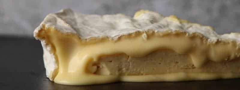 A slice of oozing Baron Bigod soft on a slate gray background