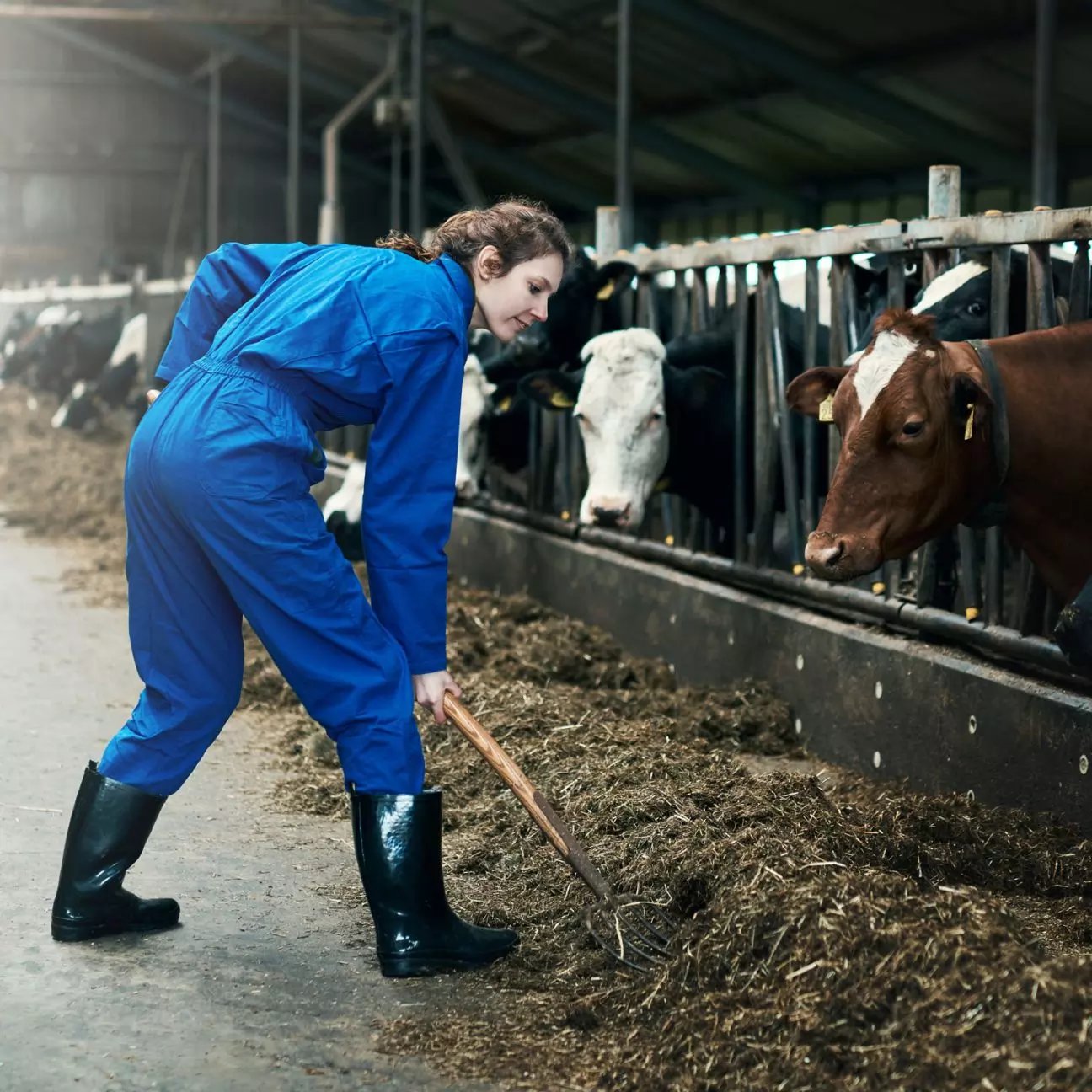 Farmyard Farmer